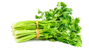 西紅柿與什么食物搭配能防癌？-深圳市佳膳福蔬菜配送有限公司